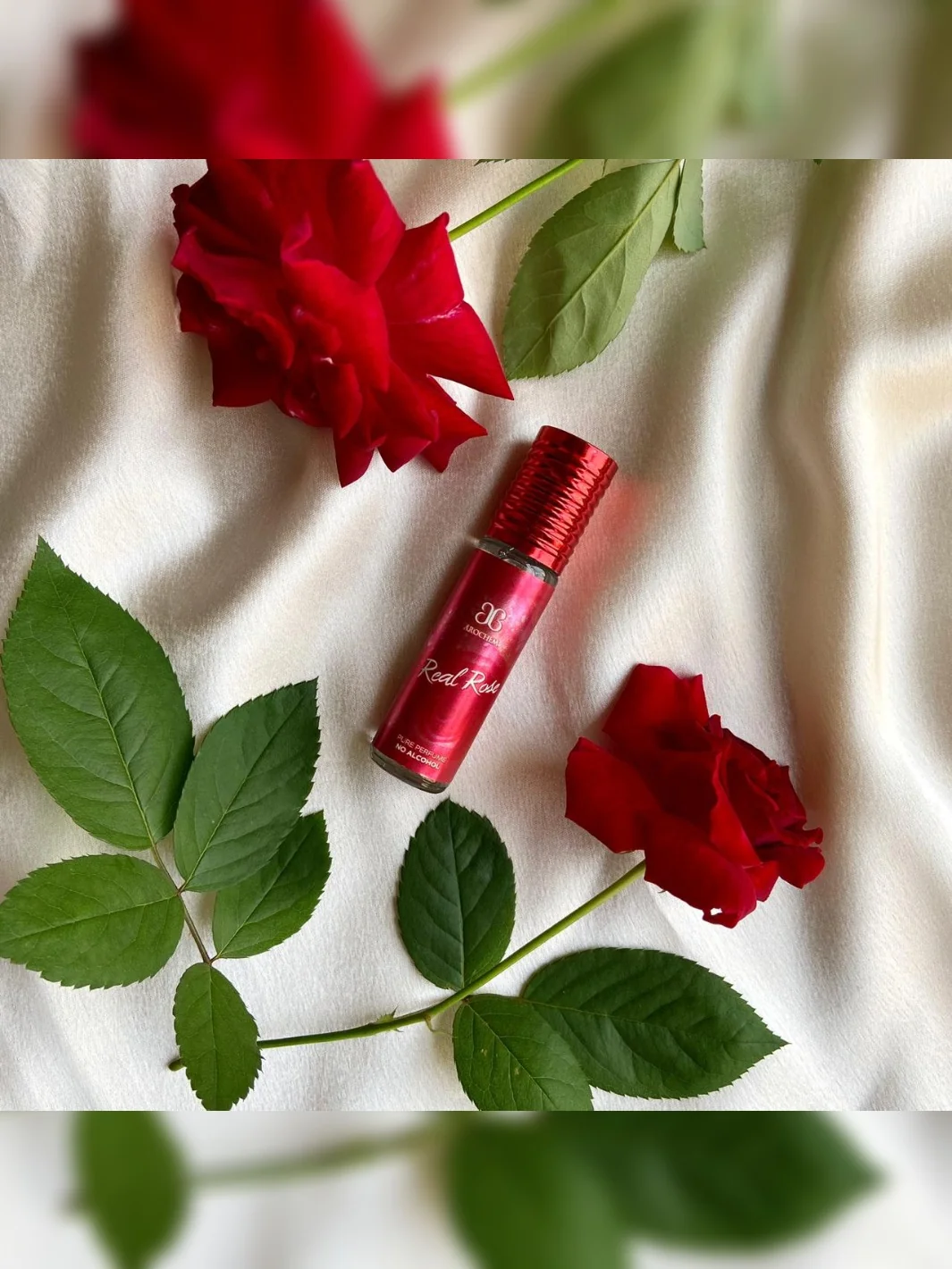 Real Rose - Image 4