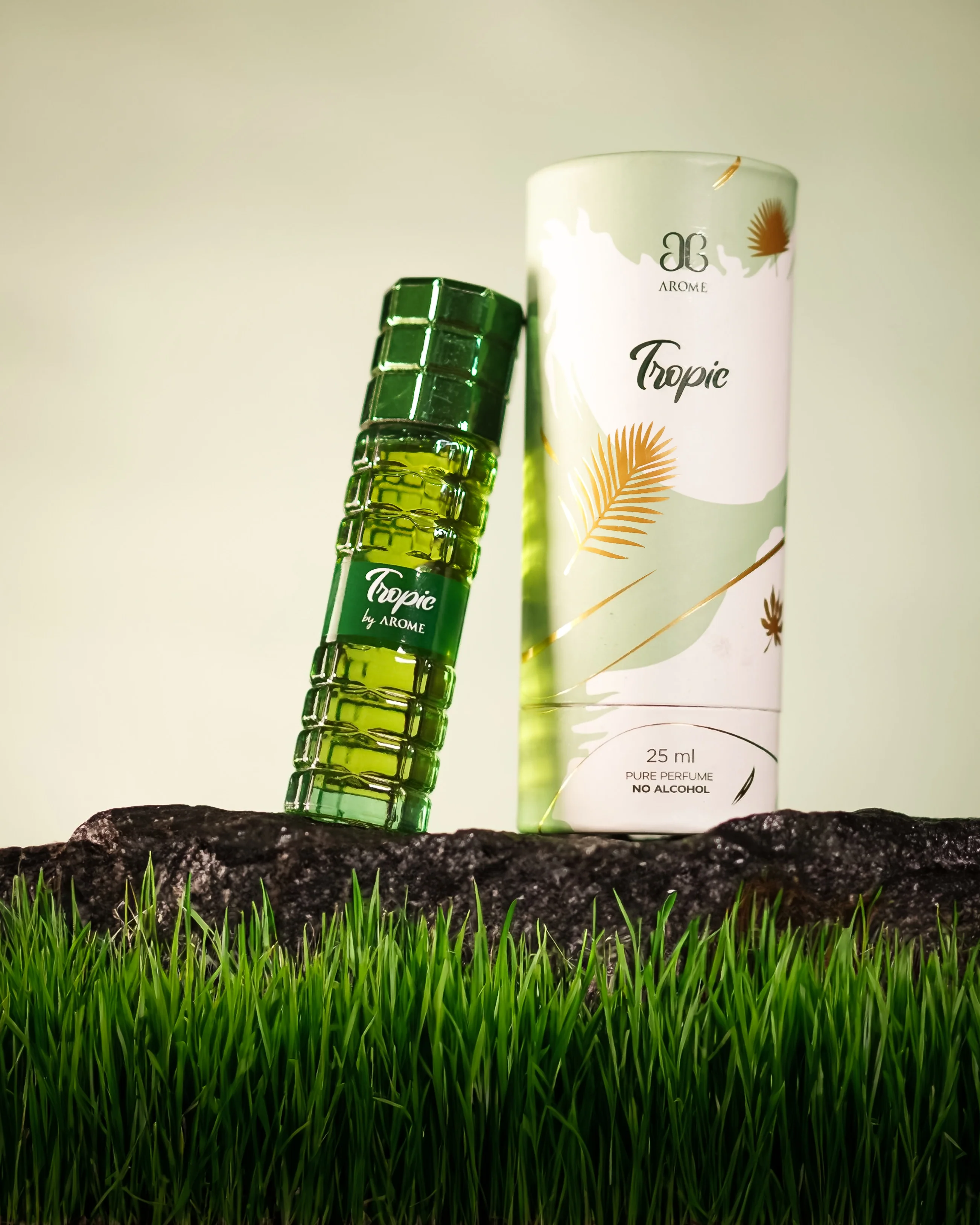 Tropic - Image 3